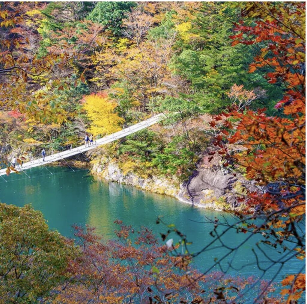 掛川市周辺の紅葉が見れるおすすめスポット🍁