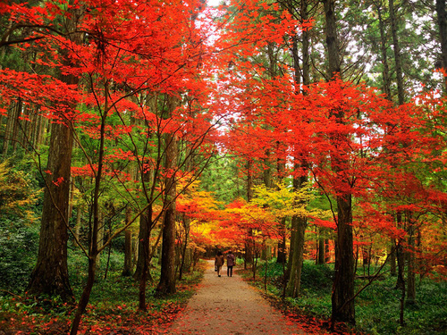 浜松市近郊の秋スポット🍁